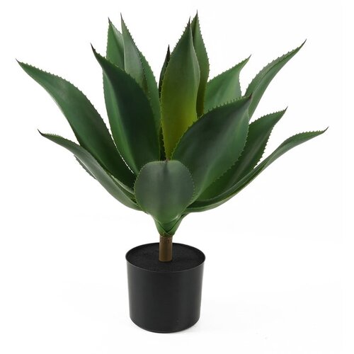 PT LIVING Umetni sukulent (višina 56 cm) – Cene