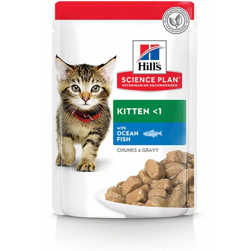 Hill’s Science Plan Kitten 12 x 85 g - Morska riba