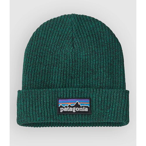 Patagonia Logo Kids Beanie solo teal Cijene