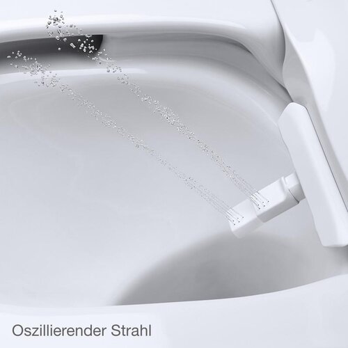 Grohe viseča higienska WC &amp;scaron;koljka z desko Sensia Arena - brezrobna (39354SH1) Slike