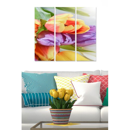 Wallity Set slika MDF3222648, 3 dijela Cene