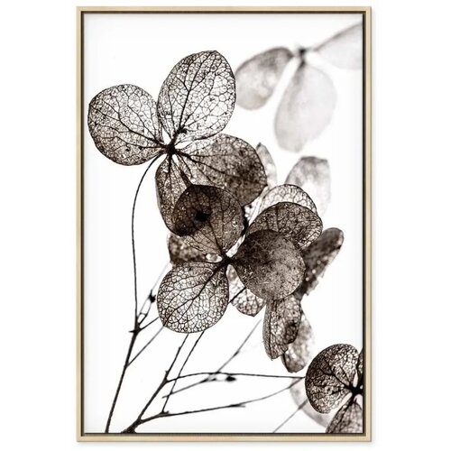 Slika - Transparent Clover (1 Part) Vertical 40x60 U prirodnom drvenom okviru Slike