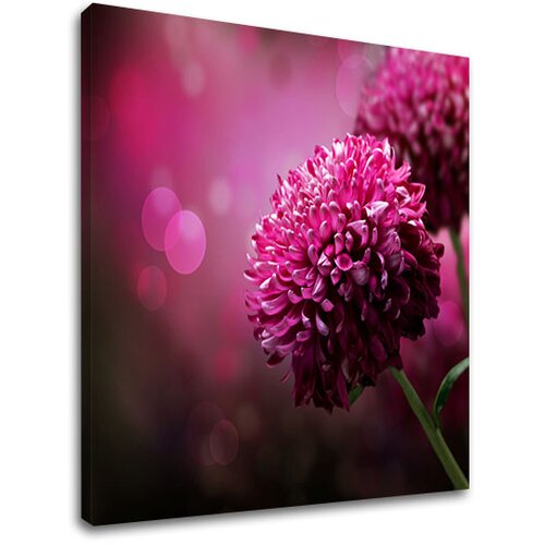  Slike  na platnu roze CVEĆE_149-11 (moderne slike na platnu) Cene
