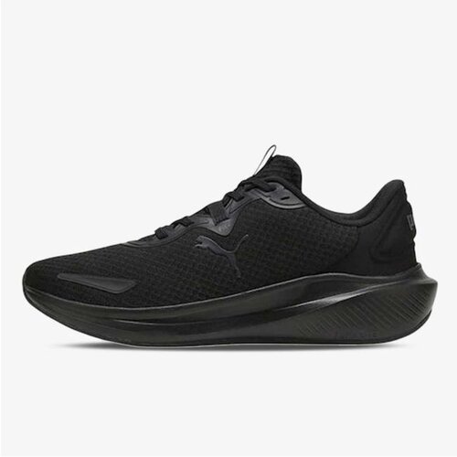 Puma solar Cene