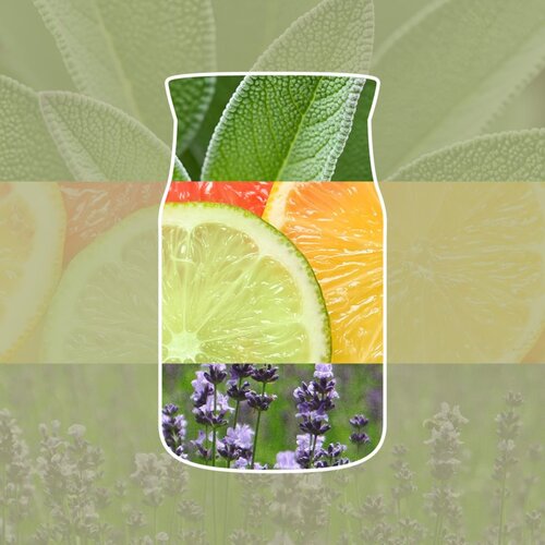 Yankee Candle Sage &amp;amp; Citrus di&amp;scaron;eča sveča Signature 110 g Slike