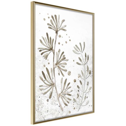  Poster - Dried Plants 20x30 Cijene