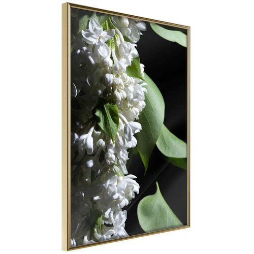  Poster - Fragrant Spring 40x60 Cene