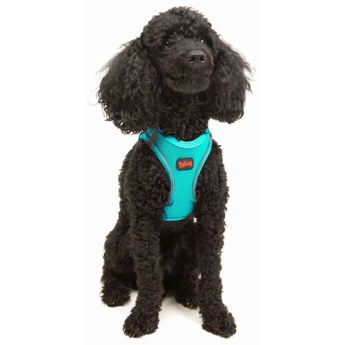 Paws & Whiskers am za pse air-mesh, svetloplavi Cene