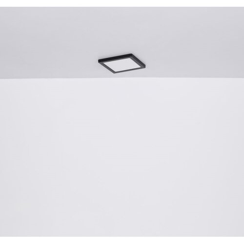 Globo 12380-24B - led plafonsko svetlo lasse LED/24W/230V 3000/4000/6500K crna Slike