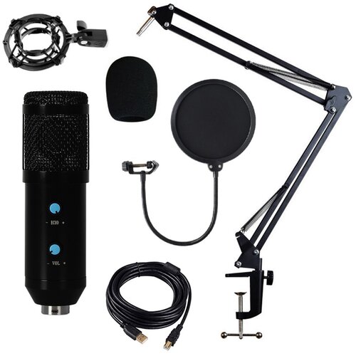 INF Komplet USB mikrofona z nastavitvijo glasnosti in reverbom za PC, (5000292110) Cene