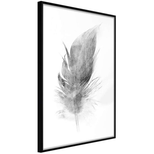  Poster - Lost Feather (Grey) 30x45 Slike