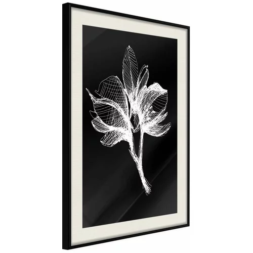  Poster - White Plant 20x30