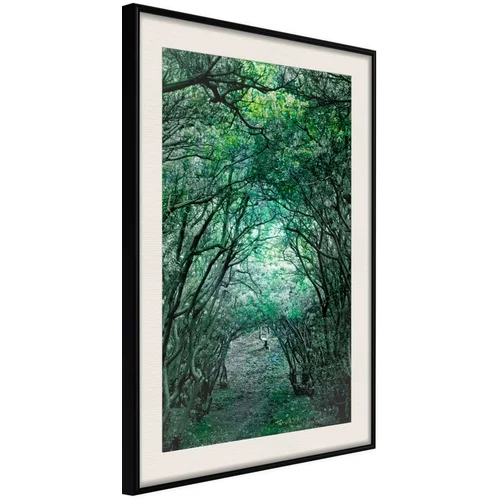  Poster - Tree Tunnel 30x45