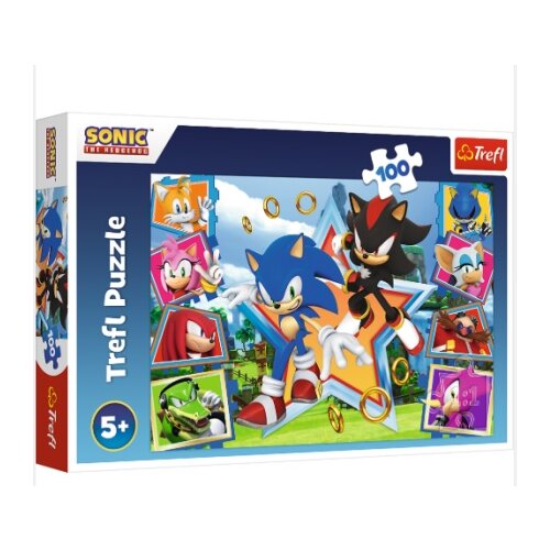 Tref line puzzle 100 pcs sonic ( T16465 ) Cene