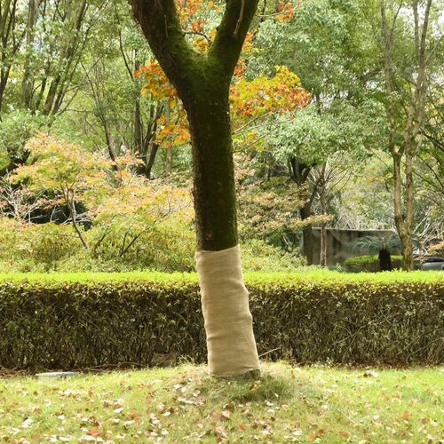 vidaXL Rola iz jute 2 kosa 1x50 m 100 % juta 200 g/m² Cene