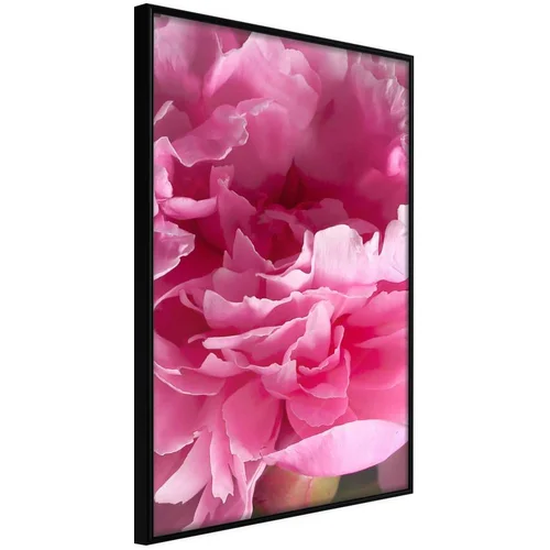  Poster - Magenta Madness 40x60