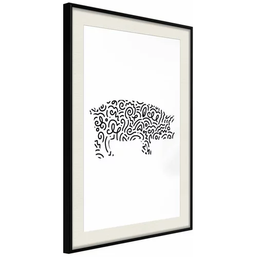  Poster - Curly Pig 20x30