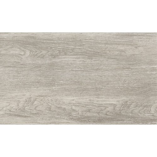 x porculanska pločica Saloon Silver (30 60 cm, Sivo-srebrne boje, Mat) Cijene