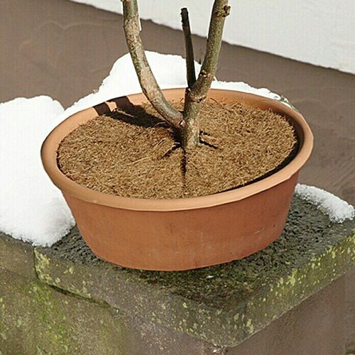 Flora World Ploča za pokrivanje biljki od kokosa (37 cm) Slike
