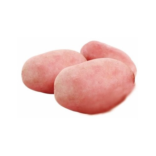 Nepoznato Krompir crveni 1kg Cene