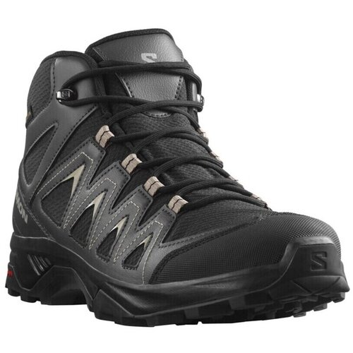 Salomon Muška planinarska obuća X BRAZE MID GTX Crna Cene
