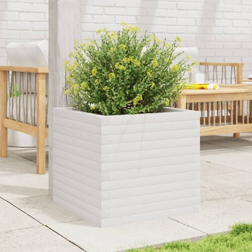  Vrtna sadilica bijela 50x50x45,5 cm od masivne borovine Slike