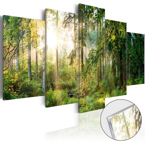  Slika na akrilnom staklu - Green Sanctuary [Glass] 200x100 Slike