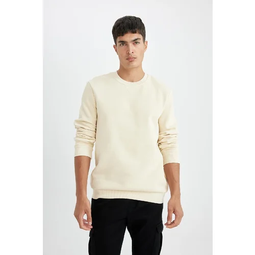 Defacto Regular Fit Crew Neck Thick Sweatshirt