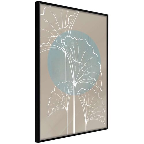  Poster - Miraculous Plant 40x60 Cene