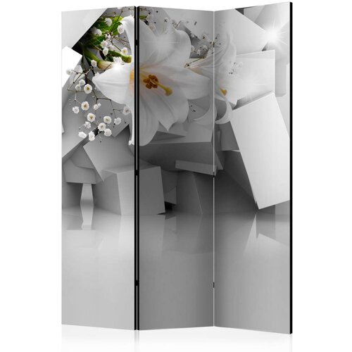  Paravan u 3 dijela - Lost in Chaos [Room Dividers] 135x172 Slike