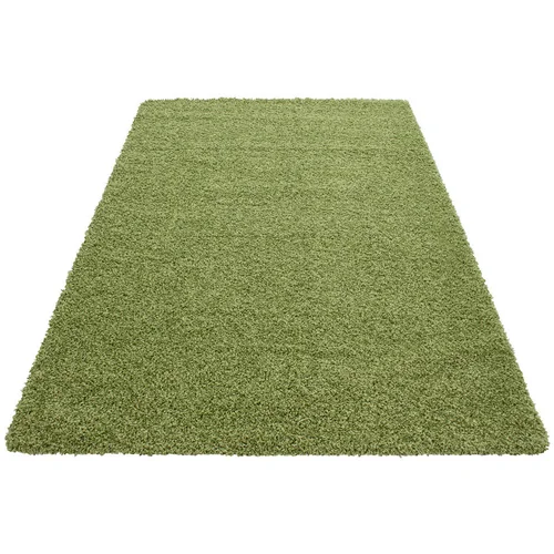 Novel preproga z visokim florom life 1500 120/170 cm tkano zelena