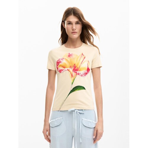 Desigual Majica temno rumena / rdeča / volneno bela Slike