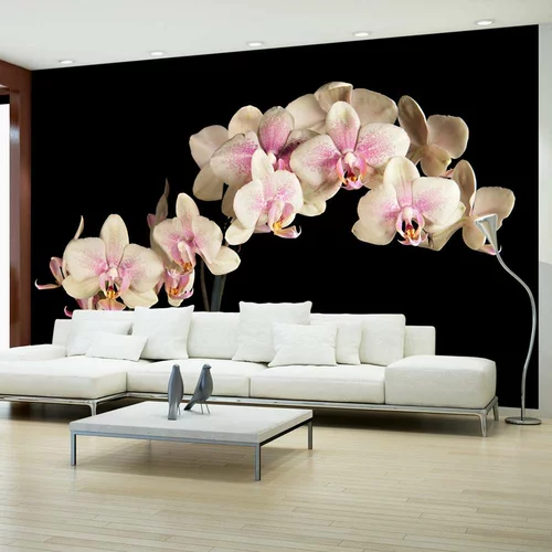  tapeta - Blooming orchid 450x270