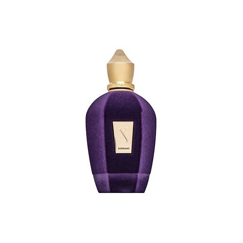 Xerjoff Soprano parfumirana voda unisex 100 ml Slike