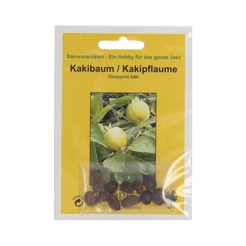 TROPICA Kakijevo drevo Cene
