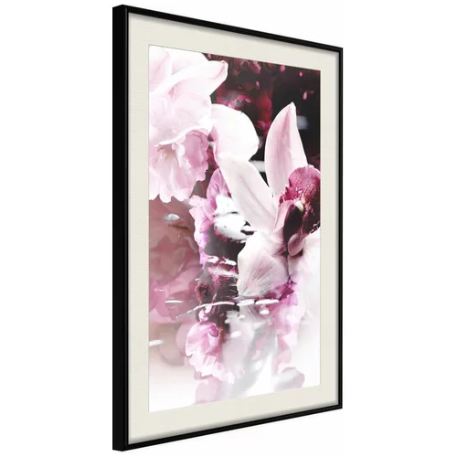  Poster - Flowers on the Water 40x60