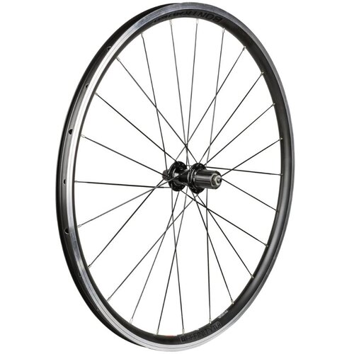  KOTAČ II BNT AFFINITY TLR/TK-32 700C 24R CRNI Slike