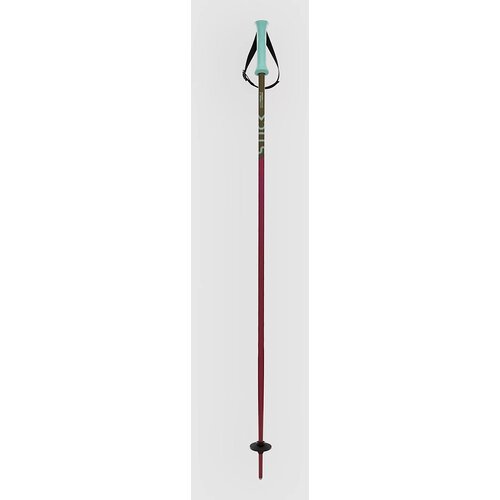 Völkl Phantastick Kids Poles 2025 Ski Poles berry Cene