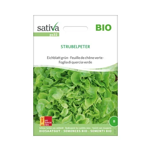 Sativa Bio zelena solata "Strubelpeter"