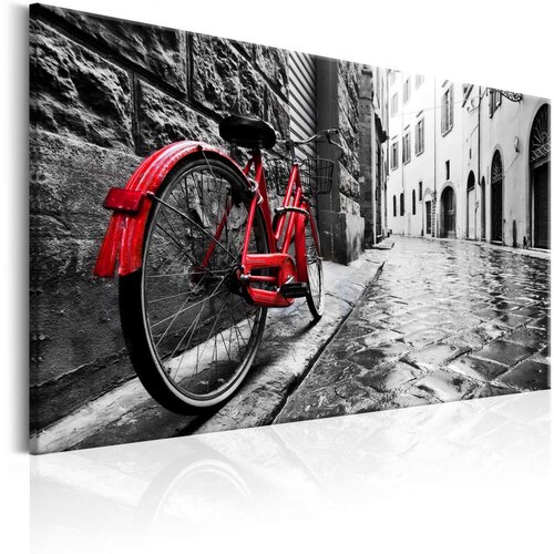  Slika - Vintage Red Bike 120x80 Slike