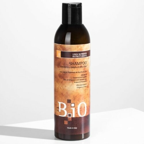 Sinergy b.io šampon za rekonstrukciju oštećene kose 250ml Cene