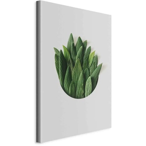  Slika - Scent Circle (1 Part) Vertical 80x120 Cene