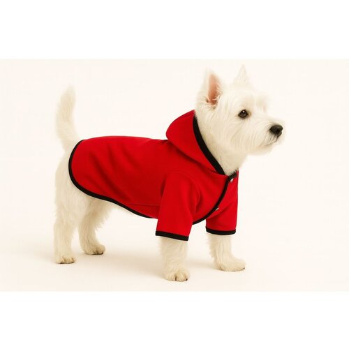 Paws &amp; Whiskers Sofshell Red Raincoat za Pse - Crveni Dukserica Cene
