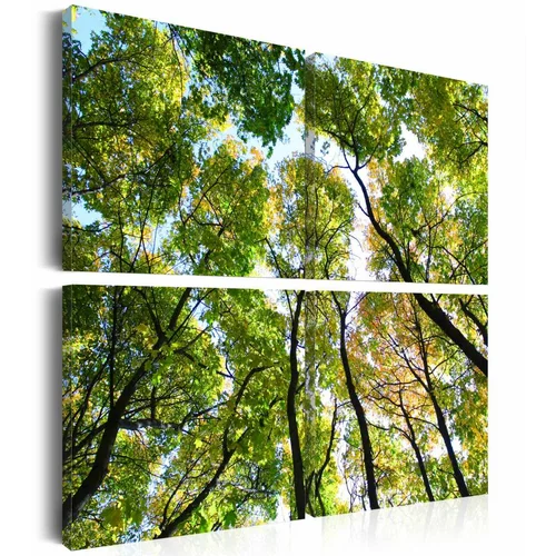  Slika - Treetops 60x60