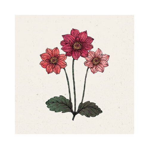  Dalija "Bishops's Children" Cene