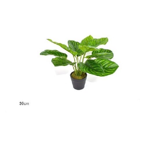  CVIJEĆE U SAKSIJI 30CM Slike