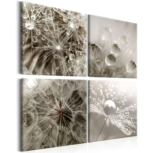  Slika - Grey Dandelion 40x40