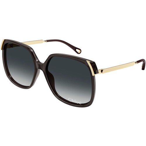 Chloe CH0286S 001 ONE SIZE (60) Siva/Siva Slike