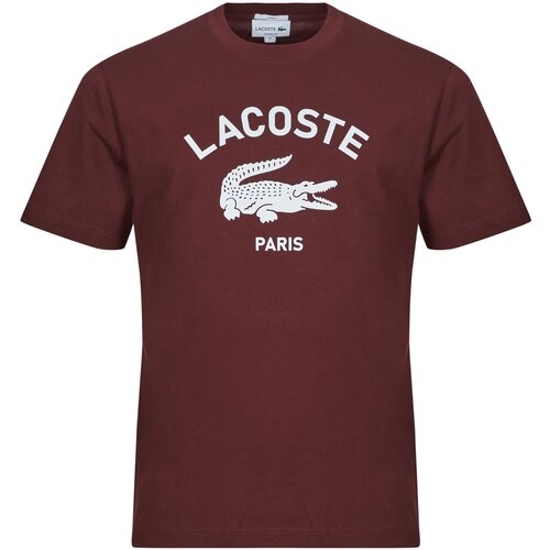 Lacoste Majice s kratkimi rokavi TH2733 Bordo Slike
