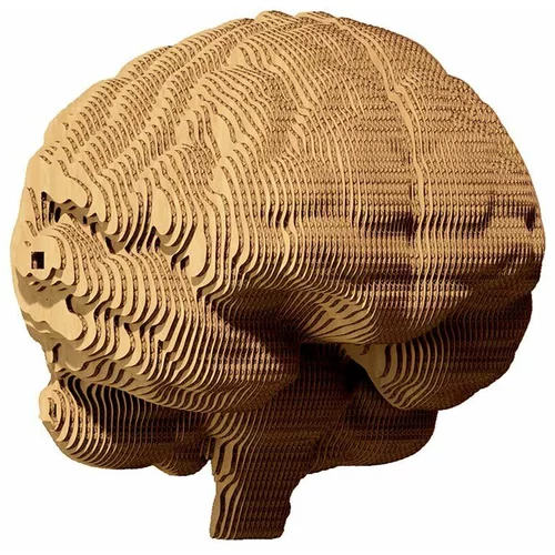Cartonic 3d puzzle Brain